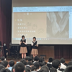 06