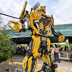 06